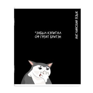 Тетрадь предм 48л Клетка КОТЫ МЕМЫ Английский язык 69828