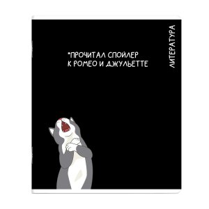 Тетрадь предм 48л Линия КОТЫ МЕМЫ Литература 69832