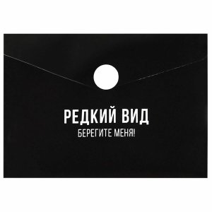 Папка для карт и визиток пластик Фразы с характером 10.5х7.4см 69041