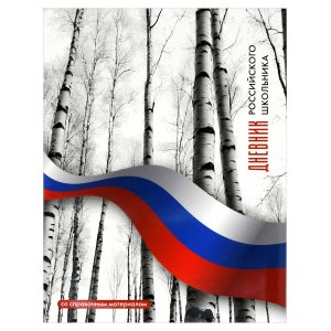 Дневник 1-11 российского школьника БЕРЕЗЫ 73078