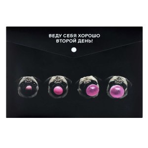 Папка на кнопке А4 МОПС И ЖВАЧКА 72363