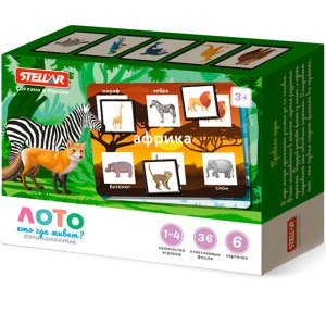 Лото Кто где живет Континенты