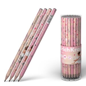 Карандаш ч/г HB Pointes круглый 60731