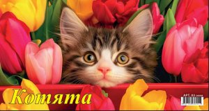 Кал 2026 Домик настол Котята 200*140 мм 03-26008