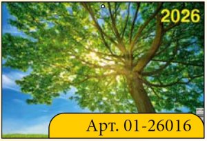 Кал 2026 Кварт 3-х блоч настен Лето 310*690 01-26016