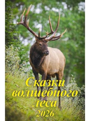 Кал 2026 Настен Сказки волшебного леса 340х490 04-26009 