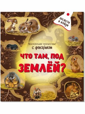 Книжка с фонариком Что там под Землей