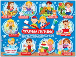 Плакат Олимпийские виды спорта P2-274