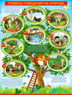 Плакат Правила поведения на природе P2-224