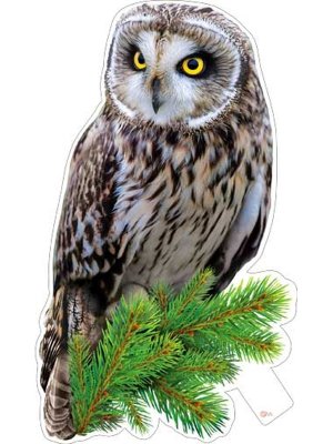 Плакат фигурный Сова на ветке P33-138