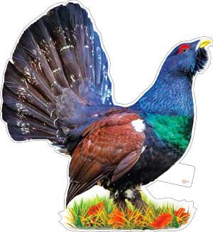 Плакат фигурный Тетерев P33-139