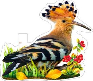 Плакат фигурный Удод P33-145