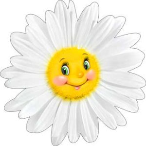 Плакат фигурный Ромашка белая A2-113-110