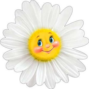 Плакат фигурный Ромашка A2-113-109