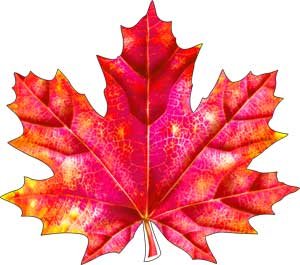 Украшение Кленовый лист красный A1-113-191