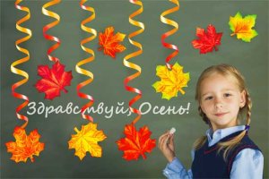 Набор спиралей Кленовые листья 13 элементов 03-03