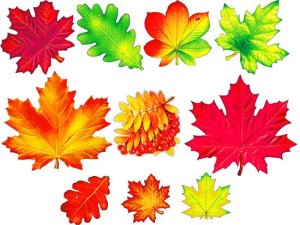 Оформительский набор Листья осенние 10 видов HPR-02