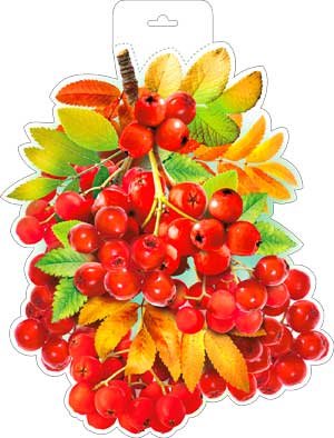 Плакат фигурный Рябина P34-269