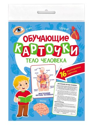 ОБУЧАЮЩИЕ КАРТОЧКИ ТЕЛО ЧЕЛОВЕКА европодвес ПрПр