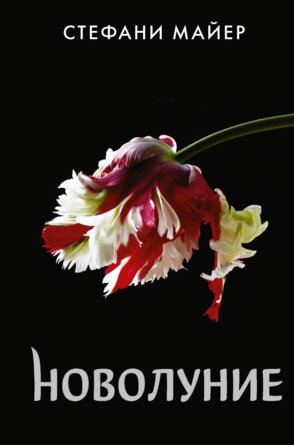 Новолуние Нов оформ