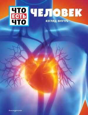 ЧЕЛОВЕК Взгляд внутрь ЧТО ЕСТЬ ЧТО