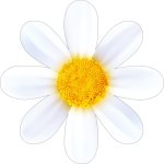 150x226/img1