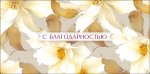 150x226/img1
