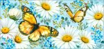 150x226/img1