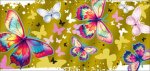 150x226/img1